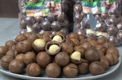 Makademya Fındığı 500 g | İri Tane, Yoğun Lezzet ve Premium Atıştırmalık