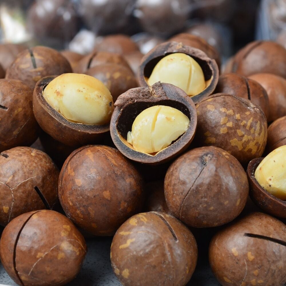 Makademya Fındığı 500 g | İri Tane, Yoğun Lezzet ve Premium Atıştırmalık