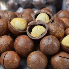 Makademya Fındığı 500 g | İri Tane, Yoğun Lezzet ve Premium Atıştırmalık